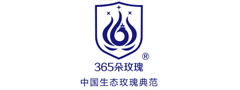 365朵玫瑰